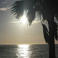 大浜海浜公園の写真・動画_image_126267