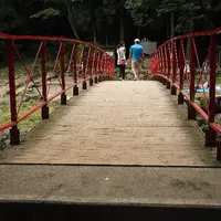 夕日の滝の写真・動画_image_12629