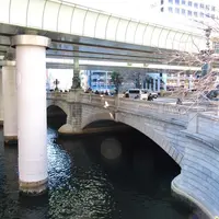 日本橋北詰東側の写真・動画_image_12641