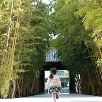 梅窓院の写真・動画_image_126503