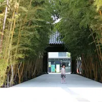 梅窓院の写真・動画_image_126542