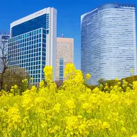 浜離宮恩賜庭園の写真・動画_image_126862