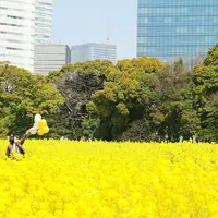 浜離宮恩賜庭園の写真・動画_image_126865