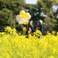 浜離宮恩賜庭園の写真・動画_image_126867