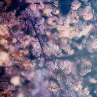 六義園の写真・動画_image_126870