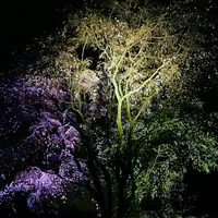 六義園の写真・動画_image_126873