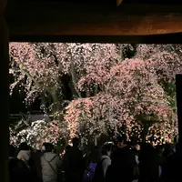 六義園の写真・動画_image_126874