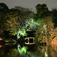 六義園の写真・動画_image_126875