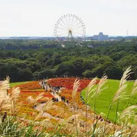 国営ひたち海浜公園の写真・動画_image_127028