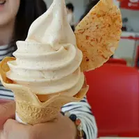 国営ひたち海浜公園の写真・動画_image_127035