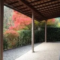 光悦寺の写真・動画_image_12725