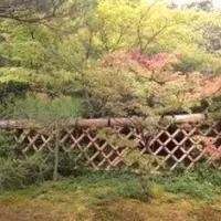 光悦寺の写真・動画_image_12726