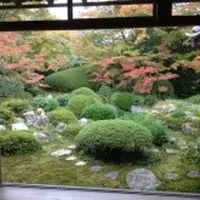 源光庵の写真・動画_image_12738