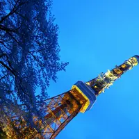 増上寺の写真・動画_image_127416