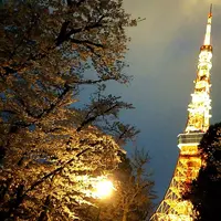 増上寺の写真・動画_image_127420