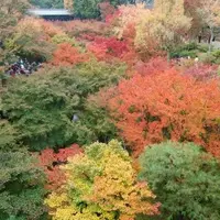 東福寺の写真・動画_image_12744