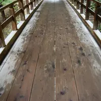 東福寺の写真・動画_image_12746