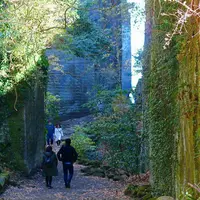 森羅の写真・動画_image_127527