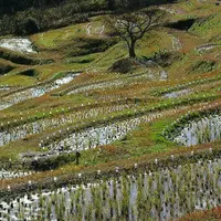 森羅の写真・動画_image_127531
