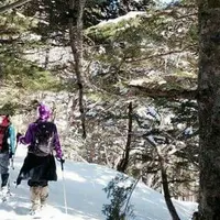 善五郎の滝の写真・動画_image_127602