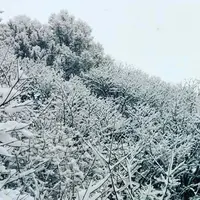 善五郎の滝の写真・動画_image_127610