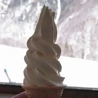 Mt.乗鞍スノーリゾートの写真・動画_image_127614