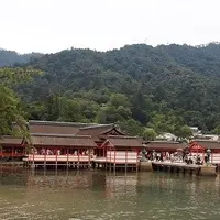 宮島（厳島）の写真・動画_image_12764