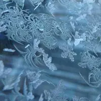 乗鞍高原の写真・動画_image_127676