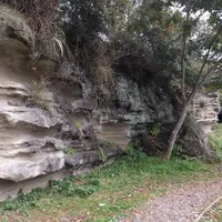衣張山の写真・動画_image_127732