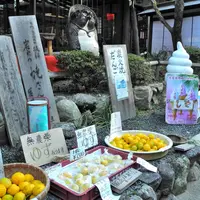 志ば久の写真・動画_image_12781