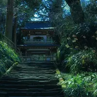 浄智寺の写真・動画_image_127823