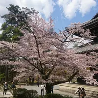 南禅寺の写真・動画_image_127845