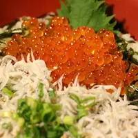江の島シーキャンドルの写真・動画_image_127855