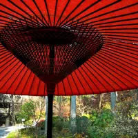 観音堂の写真・動画_image_12790