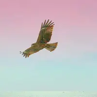 七里ヶ浜の写真・動画_image_127914