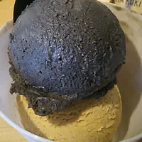 GOMAYA KUKI（ごまや くき）の写真・動画_image_127941