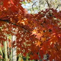 南禅寺の写真・動画_image_12810