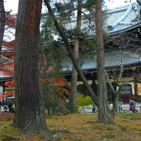 南禅寺の写真・動画_image_12822