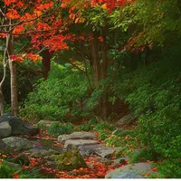 国営昭和記念公園の写真・動画_image_128516