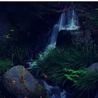 国営昭和記念公園の写真・動画_image_128517