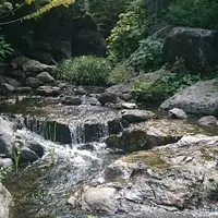 白鳥庭園の写真・動画_image_128856