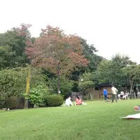 等々力渓谷の写真・動画_image_12914