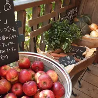 北の住まい設計社 Cafe＆Bakeryの写真・動画_image_12975