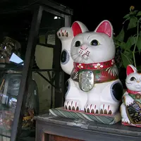 うだつが上がる美濃の町並みの写真・動画_image_12998