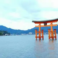 宮島（厳島）の写真・動画_image_130148