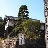 中濃八十八カ所霊場札所巡りの写真・動画_image_13015