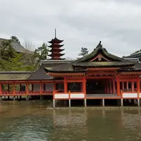 宮島（厳島）の写真・動画_image_130150