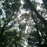 熱田神宮の写真・動画_image_130180