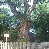 熱田神宮の写真・動画_image_130181