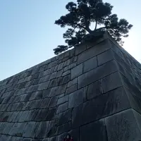 皇居東御苑の写真・動画_image_13069